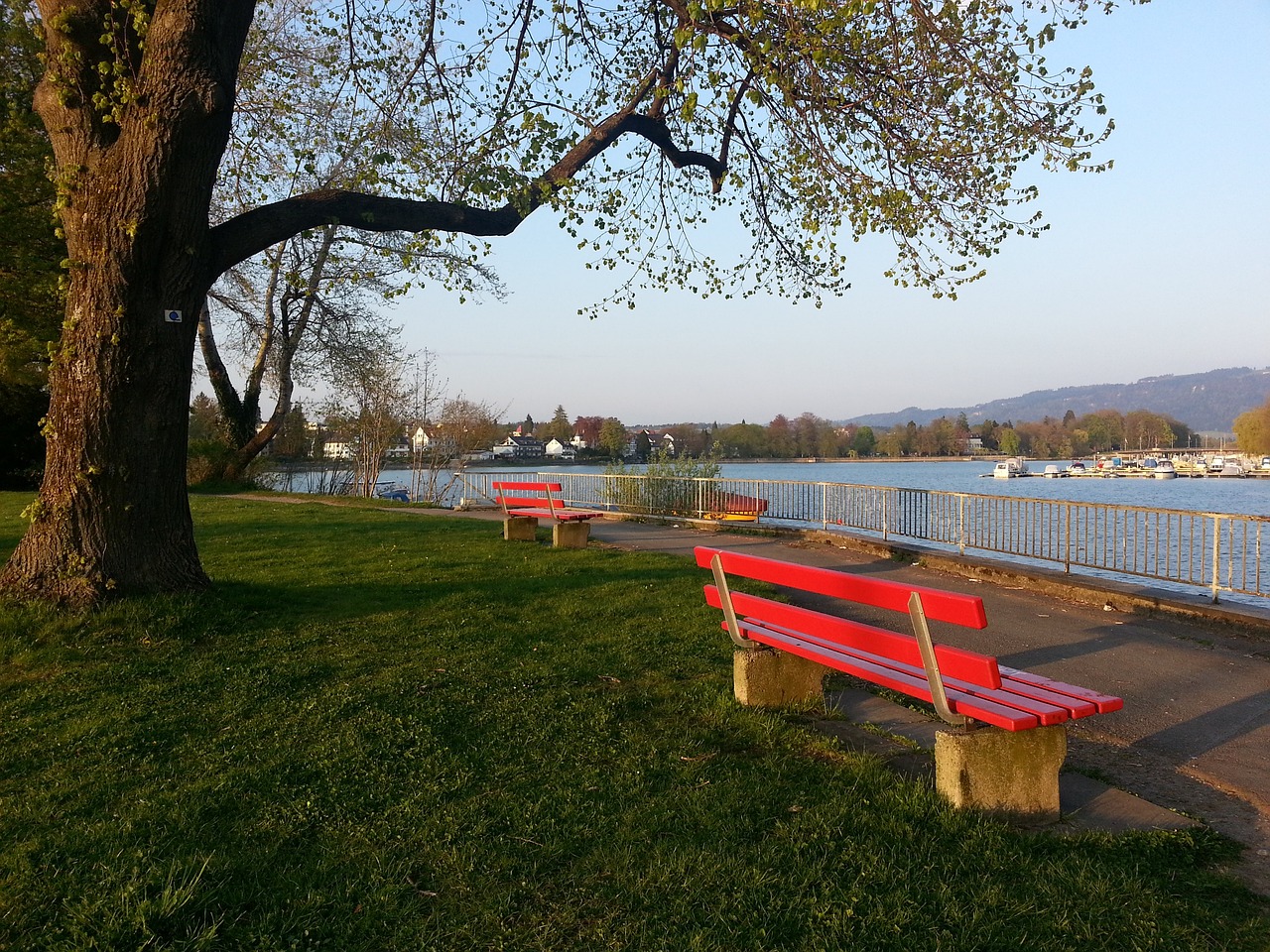 马内：阿诺德的防守不像外界说的那样差；沙特比我想象的更棒