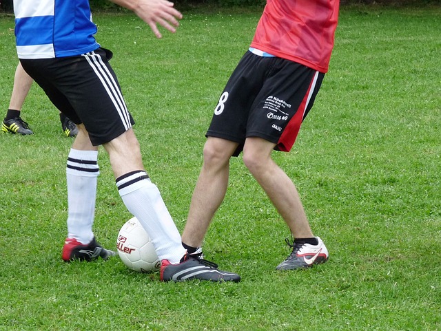 他在北京国 他在北京国