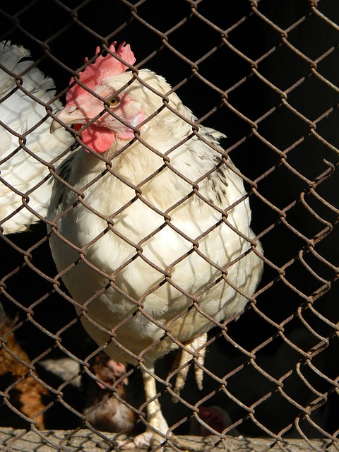 仅体现在场 仅体现在场