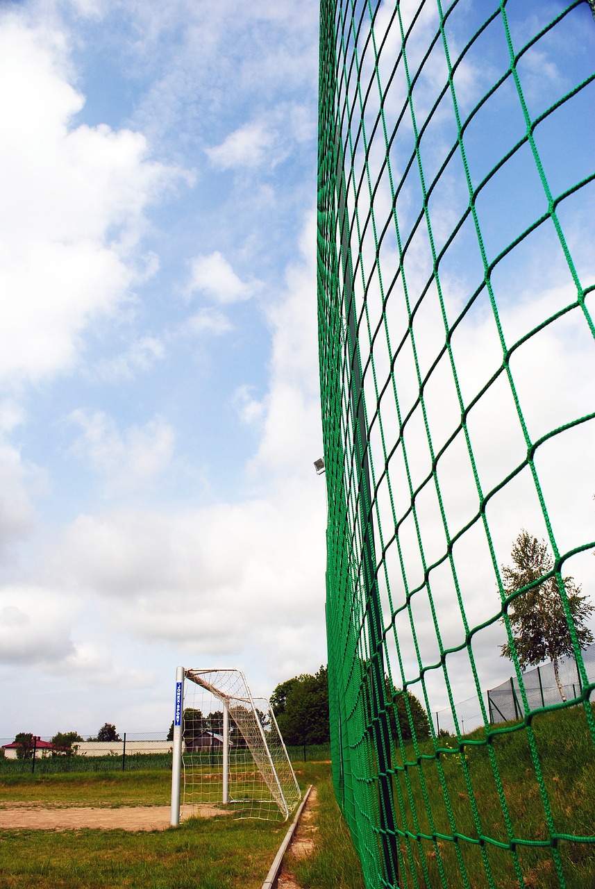 员发挥自身 员发挥自身